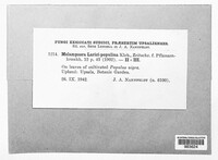 Image Associated With the Occurence